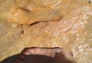 Hayan en Huelva pisadas humanas con 100.000 años de antiguedad