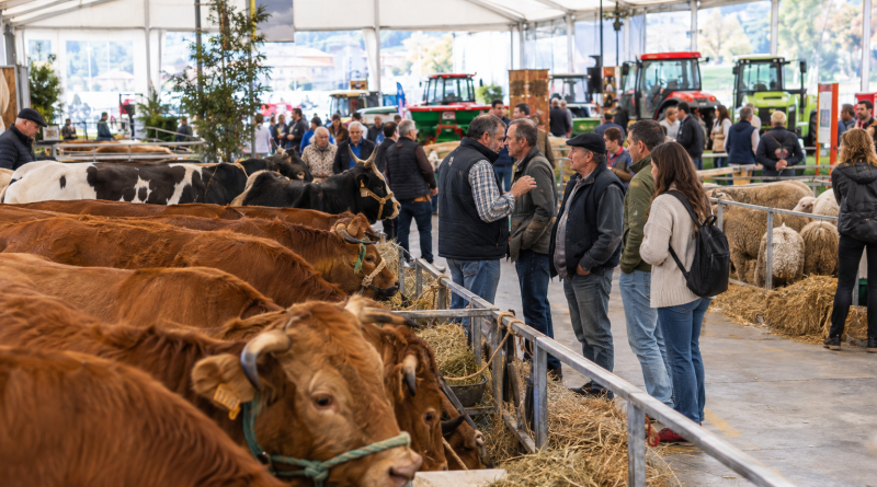 Expolugo A Rural recupera el protagonismo de la ganadería durante el San Froilán